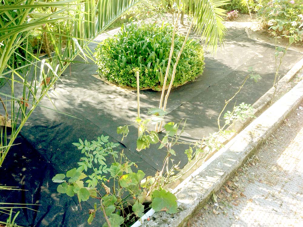 Instalación de césped artificial Norcesped en jardín